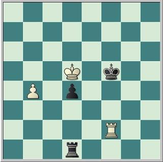 ¡Pase Mr. Bobby! (22)