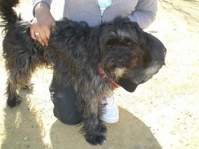 NORITO-PELANAS EN LA CALLE!! (MURCIA)