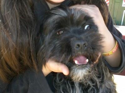 NORITO-PELANAS EN LA CALLE!! (MURCIA)