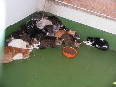 ESTÁN ATERRADOS HAY QUE SACARLOS DE ALLÍ ¡¡¡