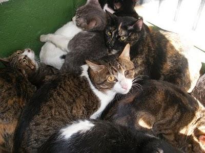 ESTÁN ATERRADOS HAY QUE SACARLOS DE ALLÍ ¡¡¡