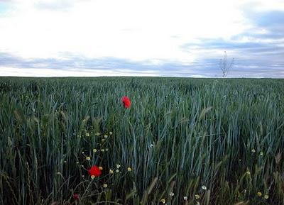 Paisaje. Excursiones de primavera.