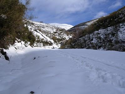 el cellón y la páxara