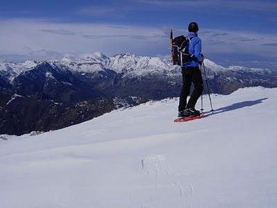 el cellón y la páxara