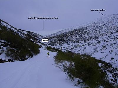 el cellón y la páxara