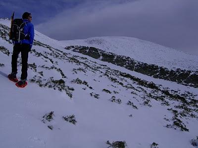el cellón y la páxara
