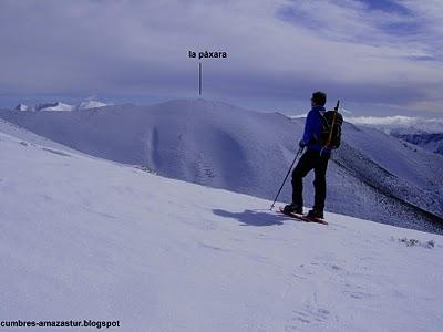 el cellón y la páxara