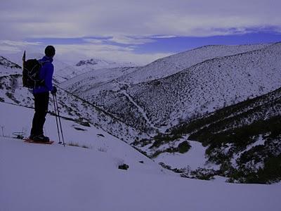 el cellón y la páxara