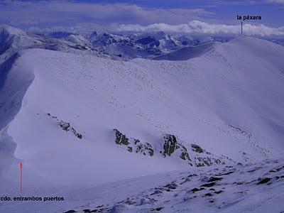 el cellón y la páxara