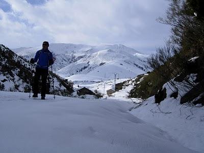 el cellón y la páxara