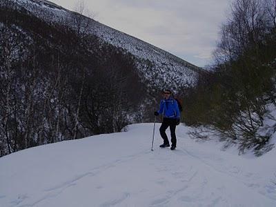 el cellón y la páxara