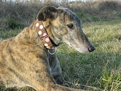 Colgando cuadros, a golpe de martillo.....