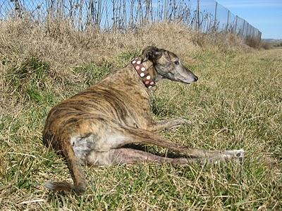 Colgando cuadros, a golpe de martillo.....