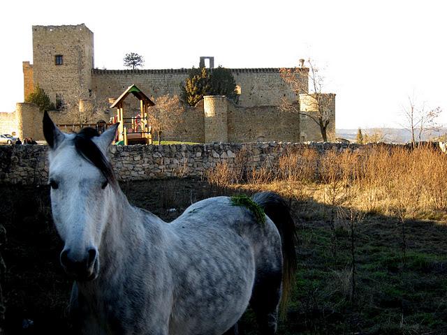 ... destino: pedraza ...