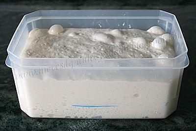 PAN DE ESPELTA CON MASA MADRE