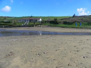 Queda el martín pescador