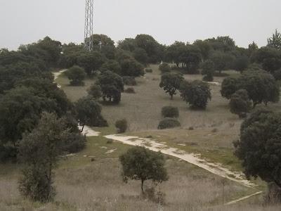 ¡NO! A LA ESCUELA Y CAMPO DE GOLF