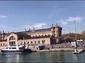 GOLONDRINAS CatiFerran