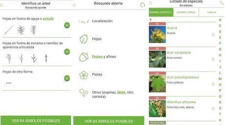 Arbolapp Canarias, una app para conocer los árboles de Canarias Arbolapp Canarias, una app para conocer los árboles de Canarias