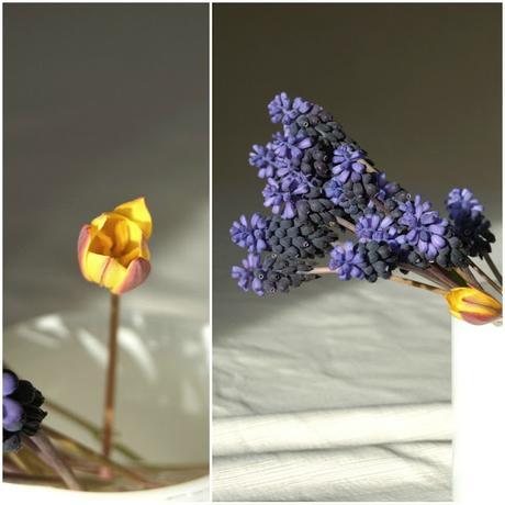 ya llegó, la primavera... ya llegó, la primavera...