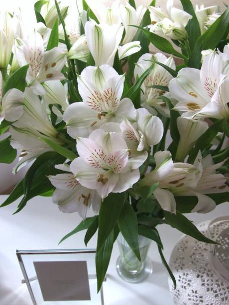 ya llegó, la primavera... ya llegó, la primavera...