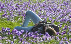 primavera-300x187