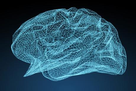 cerebro de las personas con yeah