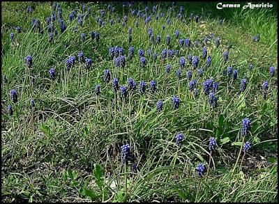 Primer día de primavera