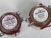 Descubriendo Soaphoria