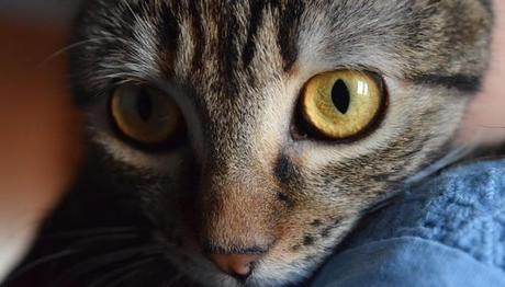 no es una señal de alerta