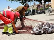 Morir morir; pero vivir… ¡vivir singularidad!