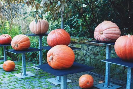 Halloween otoñal - Jardín Botánico Atlántico