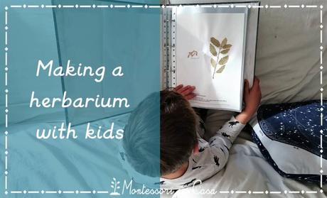 Cómo hacer un herbario con niños – Making a herbarium with kids