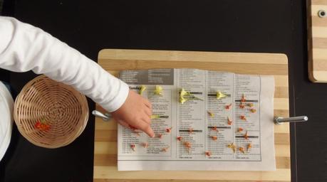 Cómo hacer un herbario con niños – Making a herbarium with kids