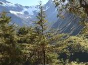 Área Conservación Privada, Santuario Verónica importancia