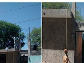 Persona cuelga mata perro Villa Pozos; piden justicia