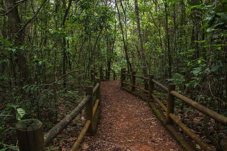 Brasilia, la modernidad desmejorada