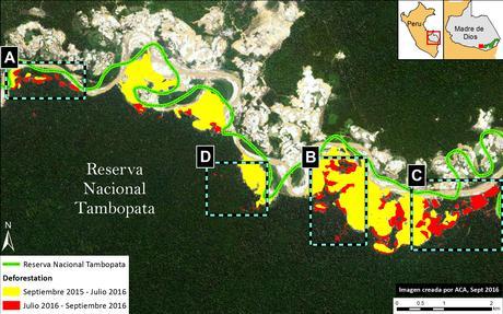 ¿Qué es el MAAP: Monitoring of the Andean Amazon Project?