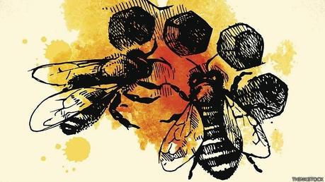 CURIOSIDADES DE LAS ABEJAS - CURIOSITIES OF THE BEES
