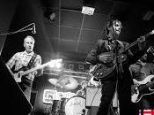 Lichis adelanta Mariposas Café Palma