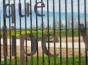 Carmena mete jardín