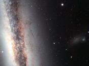 miembro extraño triplete