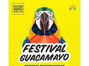Festival Guacamayo 2017, confirmaciones