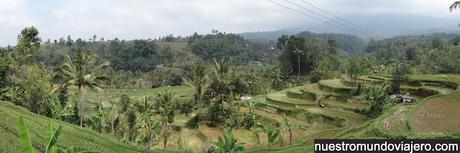 Bali; el famoso templo Ulun Danu Batur y los arrozales de Jatiluwih