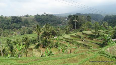 Bali; el famoso templo Ulun Danu Batur y los arrozales de Jatiluwih