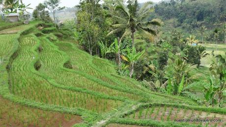 Bali; el famoso templo Ulun Danu Batur y los arrozales de Jatiluwih