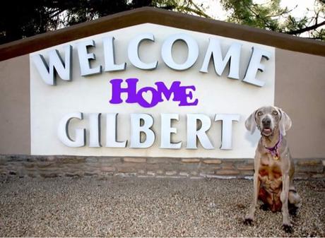 La increíble historia de Gilbert Grape