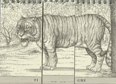 Proyecto Animalario ( primera parte )