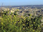 Colores Toledo