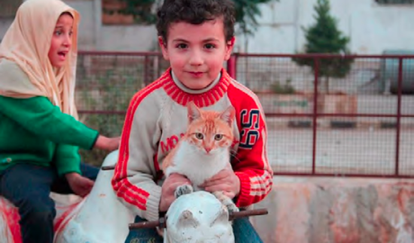 PHES, Fotografía Española Solidaria.